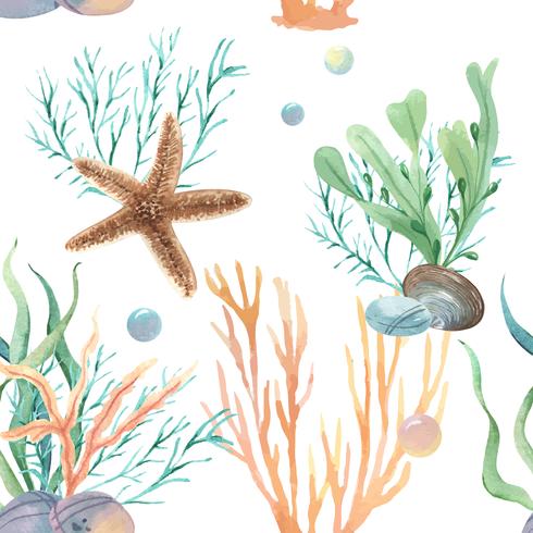 Sea shell marine life pattern seamless, travel vacation summertime on the beach ,aquarelle textile isolated, vector illustration Color Coral.