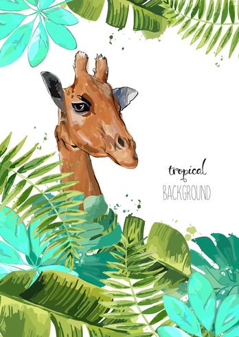 Background with Tropical Leaves and giraffe. vector