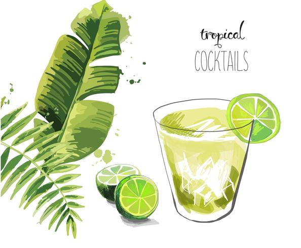 Cocktail. Summer tropical cocktail background with palm leaves. vector