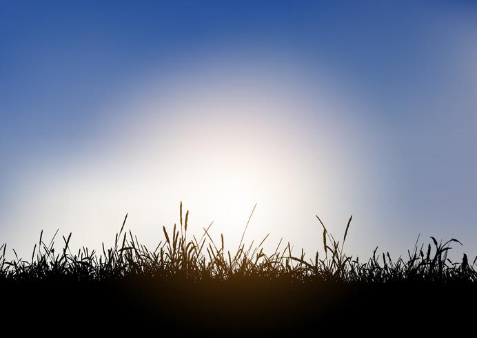 Silhouette of grassy landscape against blue sky  vector