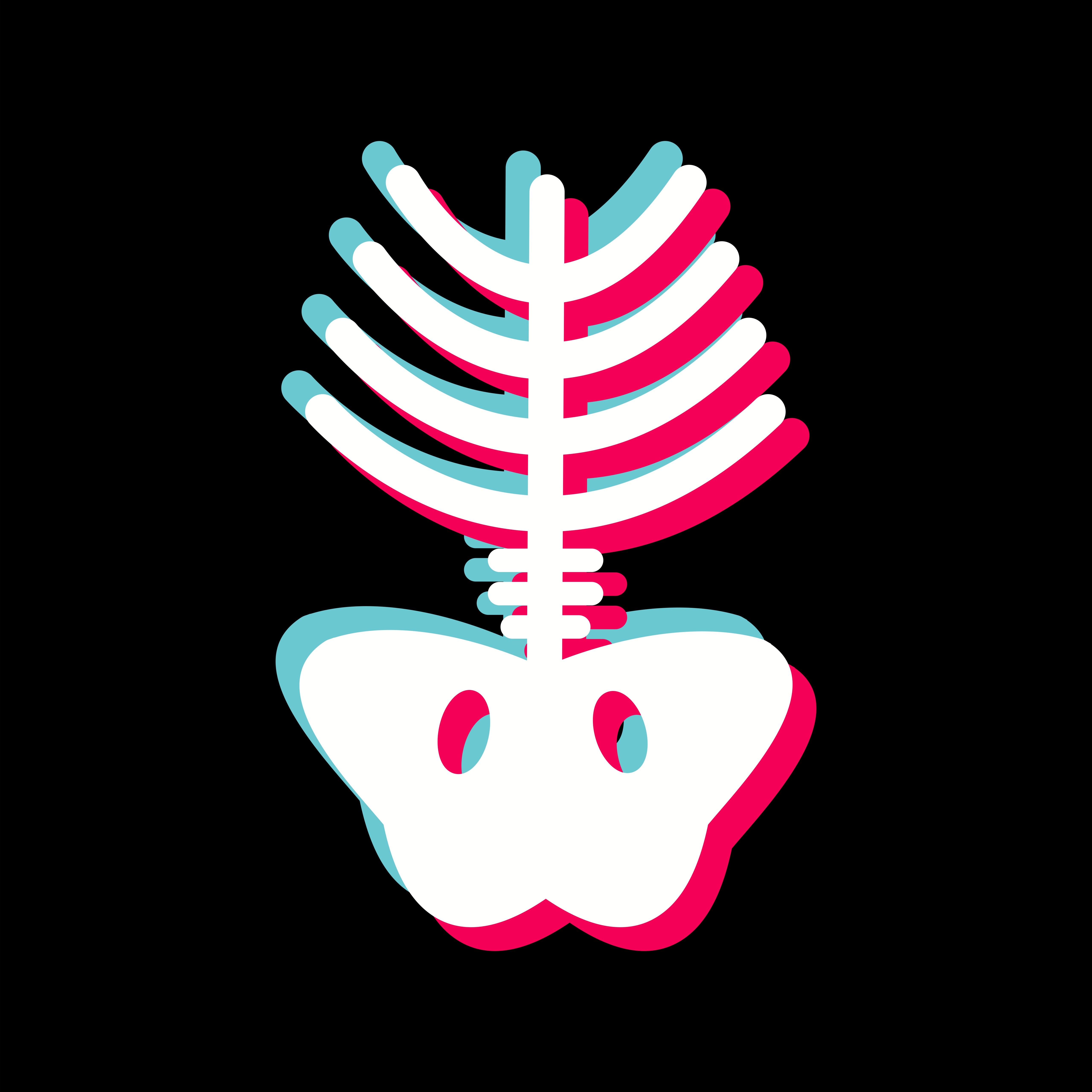 Free Free X Ray Flower Svg 798 SVG PNG EPS DXF File