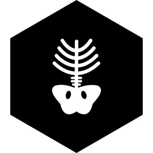 Xray Icon Design vector