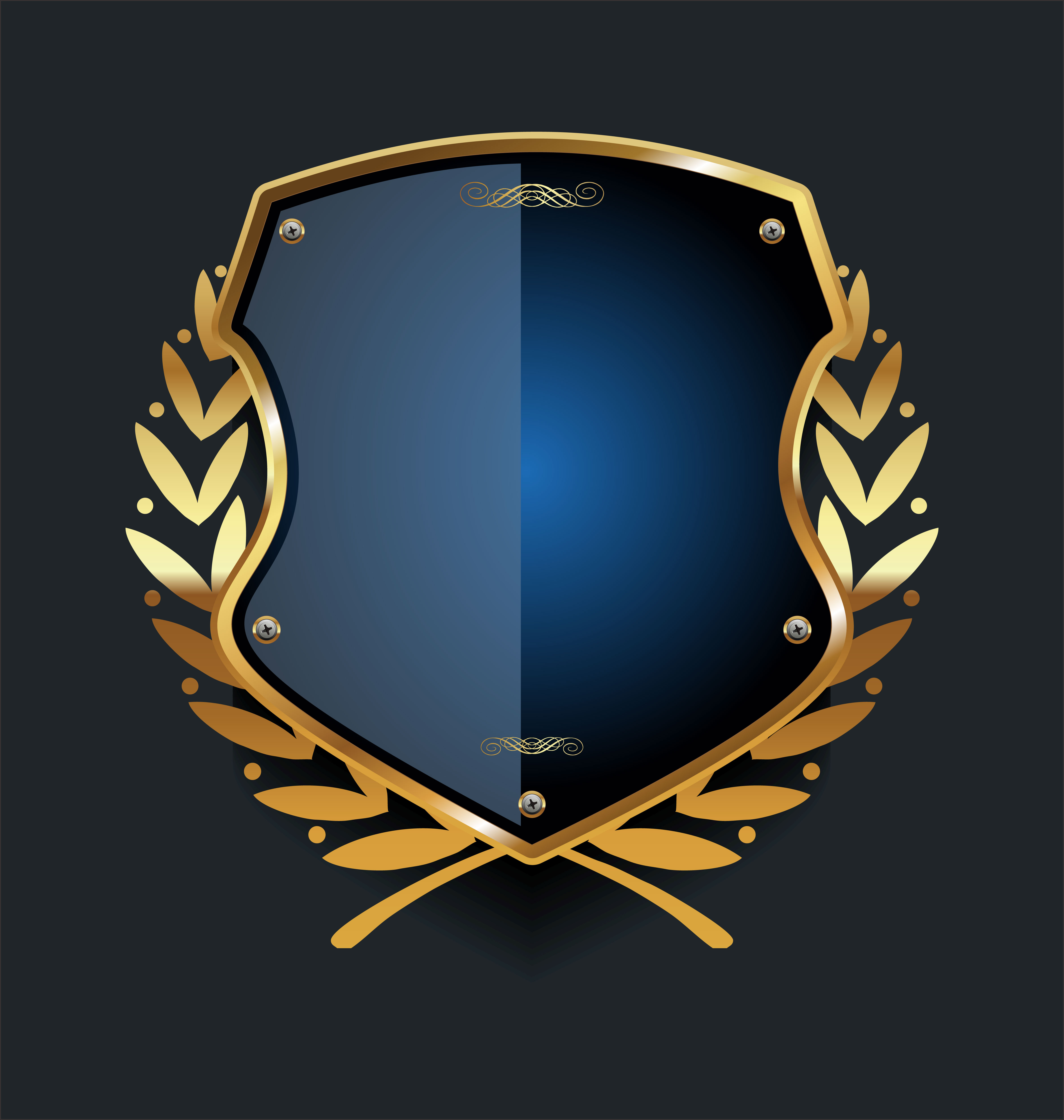 shield 507016 Vector Art at Vecteezy