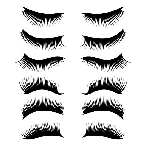 eyelashes clipart set vector