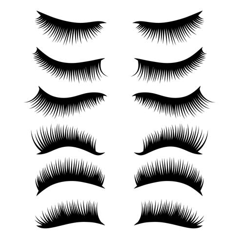 eyelashes clipart set vector