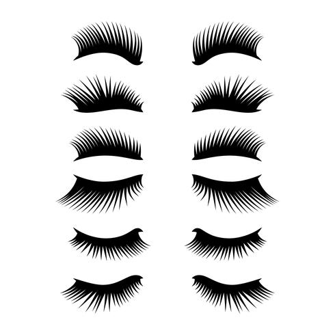 eyelashes clipart set vector