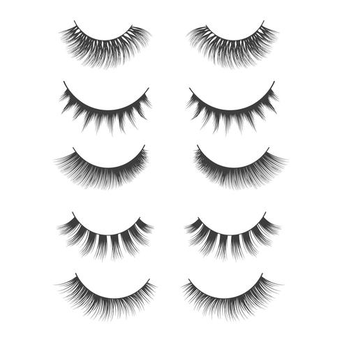 Eyelashes Clipart Set vector