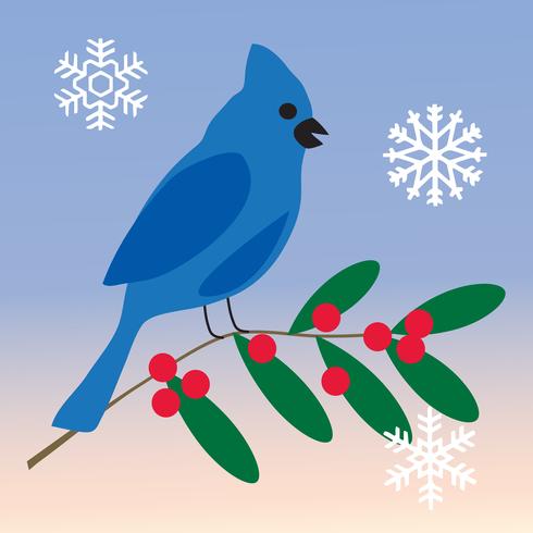 blue jay con rama de acebo y copos de nieve vector