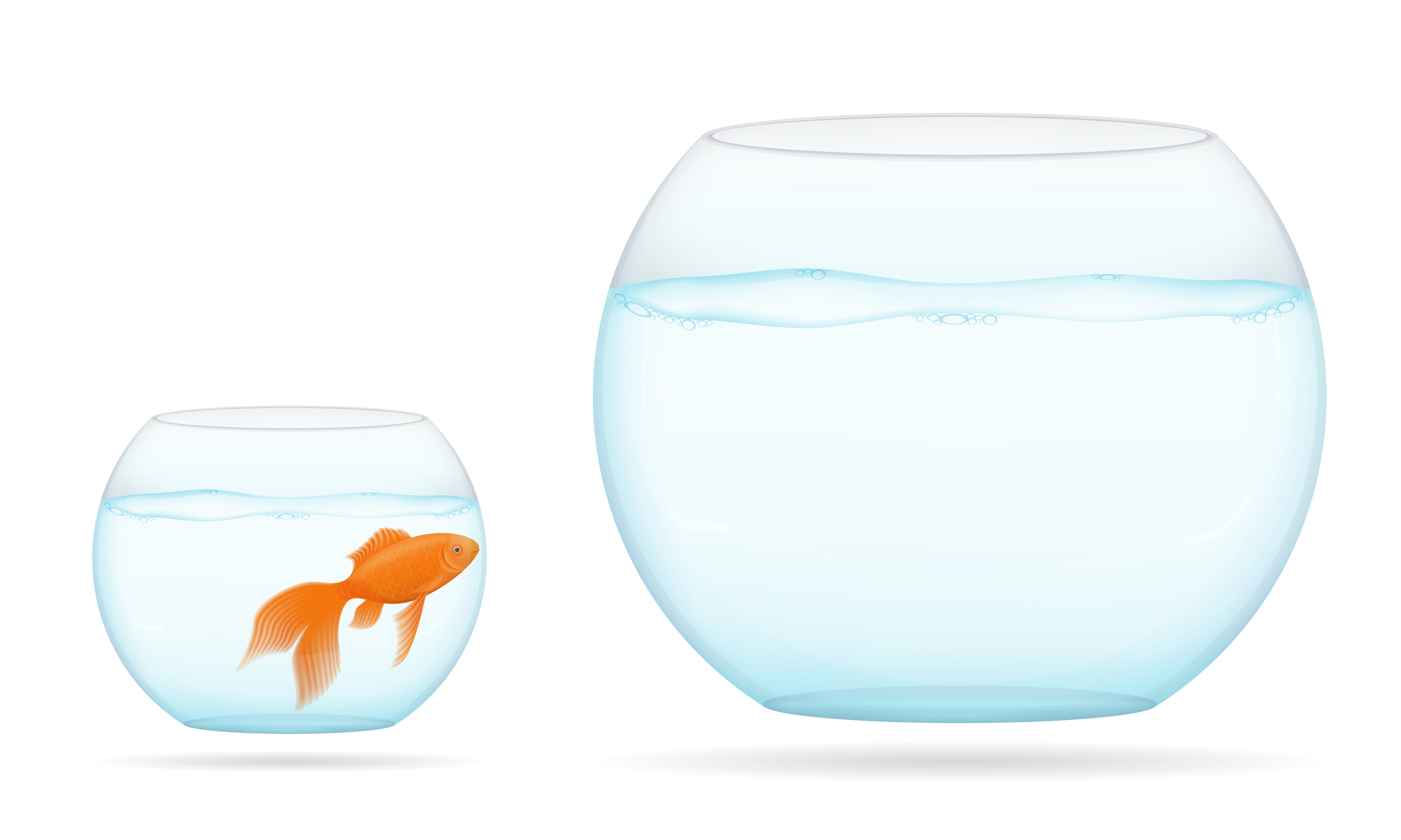 Download fish in a transparent aquarium vector illustration 509341 ...