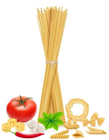 pasta with vegetables vector illustration