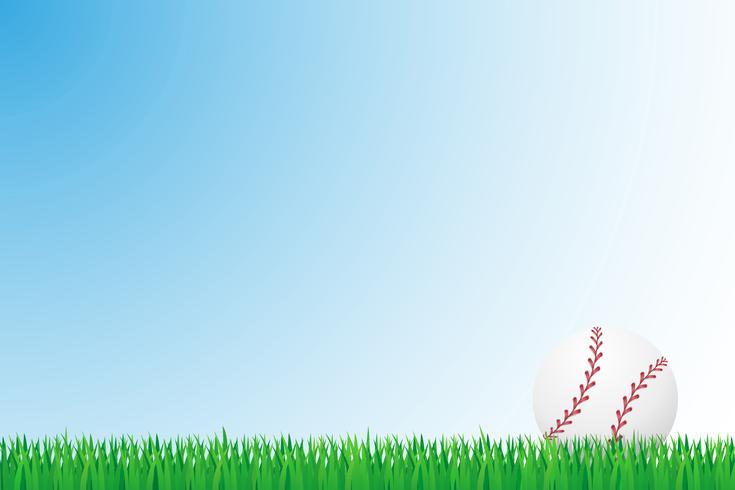 baseball grass field vector illustration