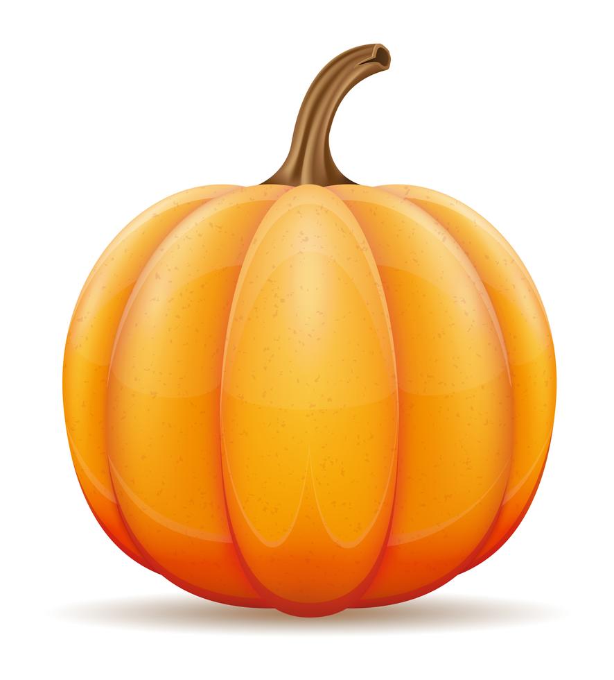 pumpkin vector illustration 509743 Vector Art at Vecteezy