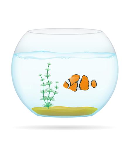 fish in a transparent aquarium vector illustration