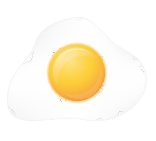 fried egg vector illustration