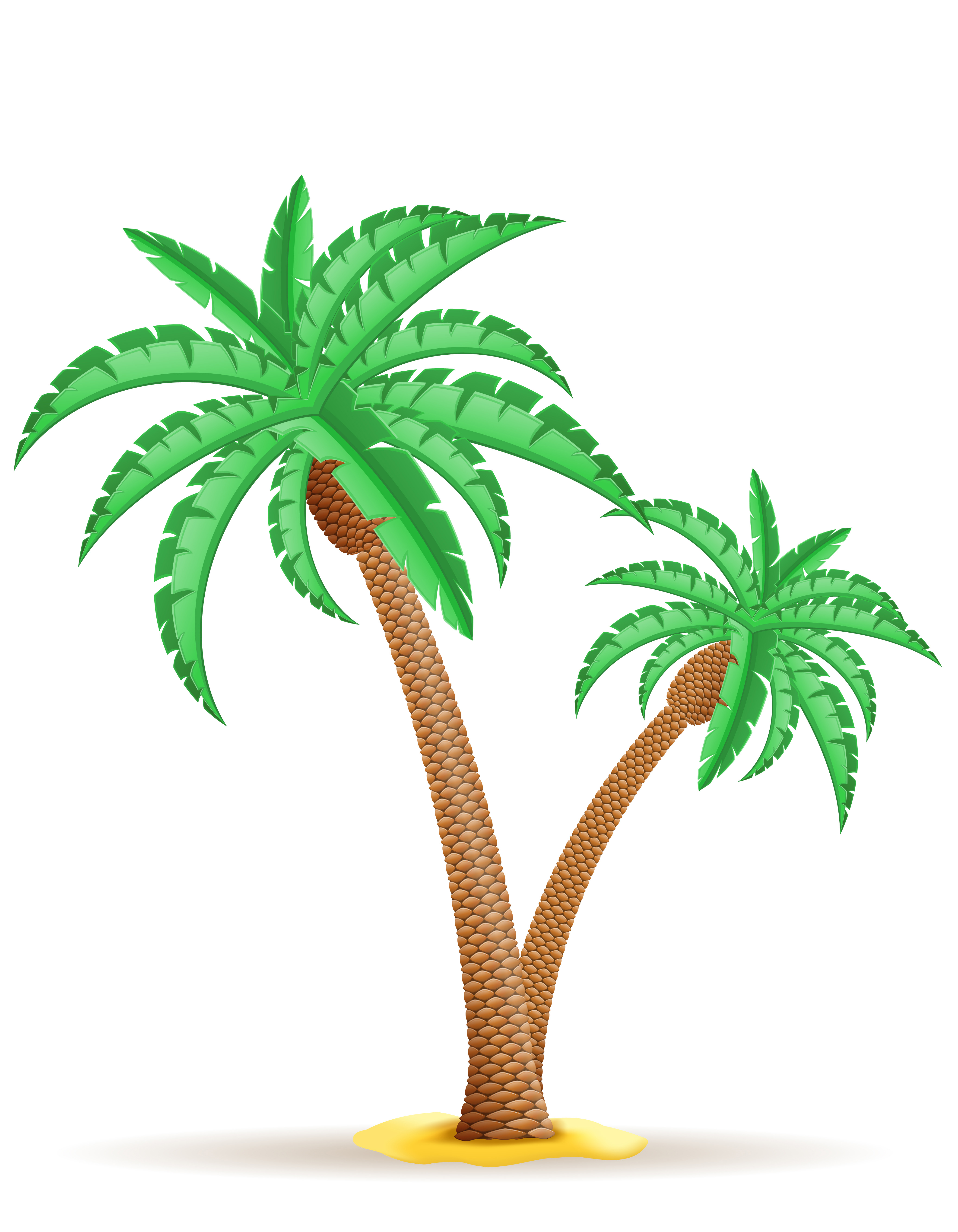  palm  tree vector  illustration 509979 Vector  Art at Vecteezy