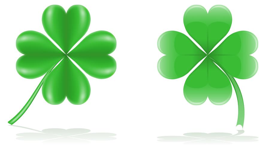 lucky clover vector illustration