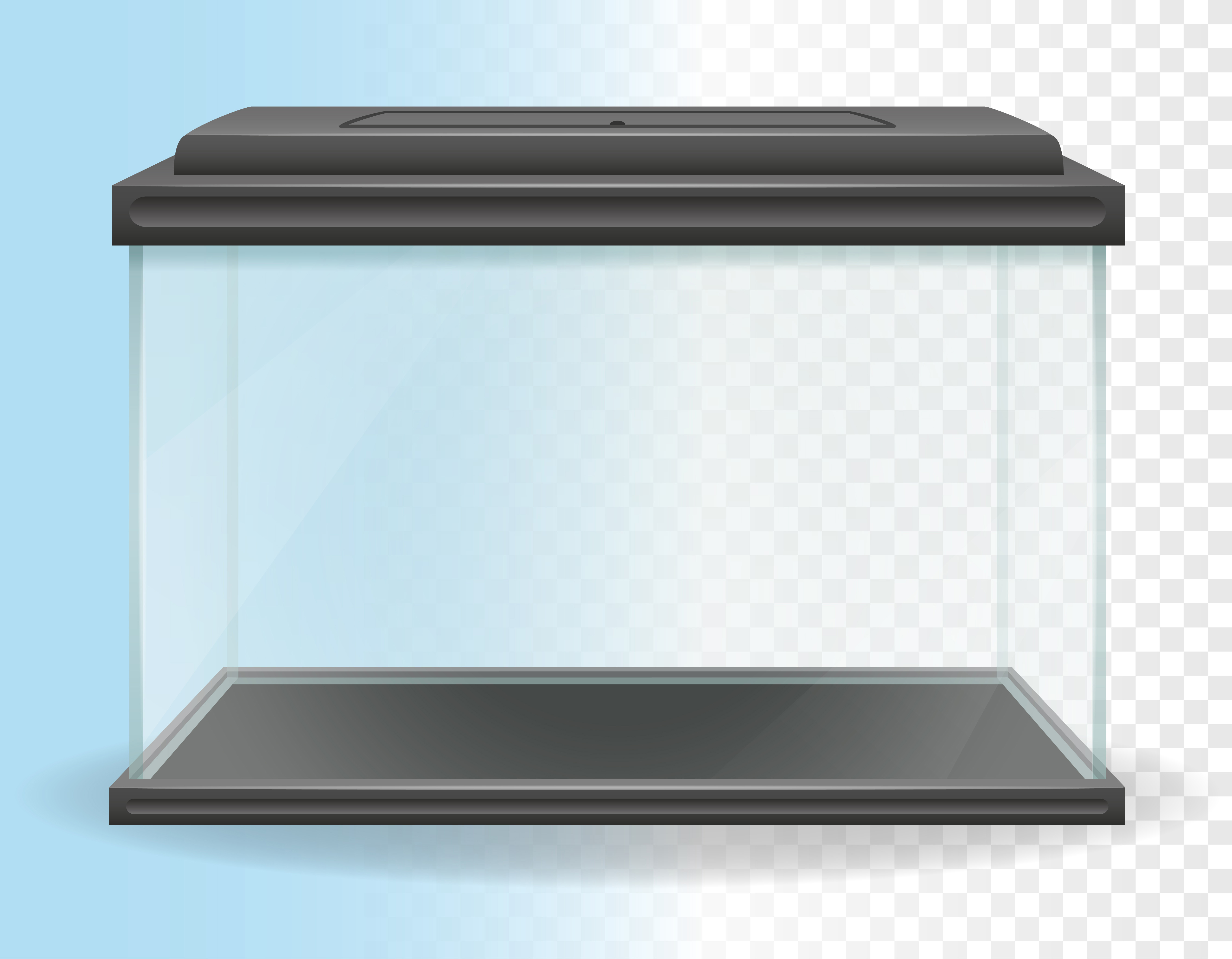 transparent aquarium vector illustration 510471 Vector Art at Vecteezy