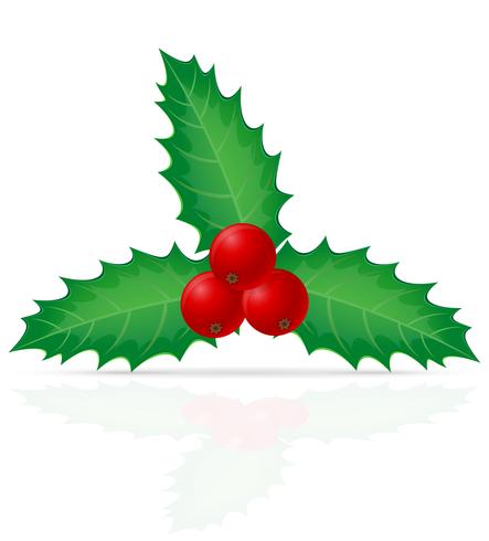 christmas holly berry vector illustration