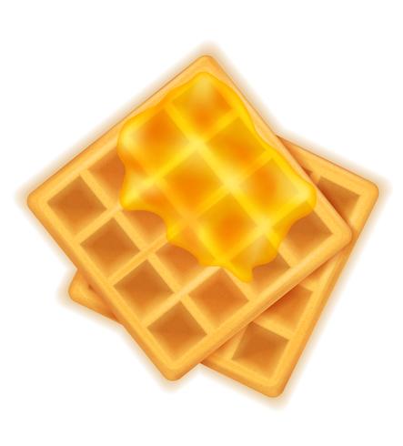 belgian waffle with honey sweet dessert for breakfast vector illustration