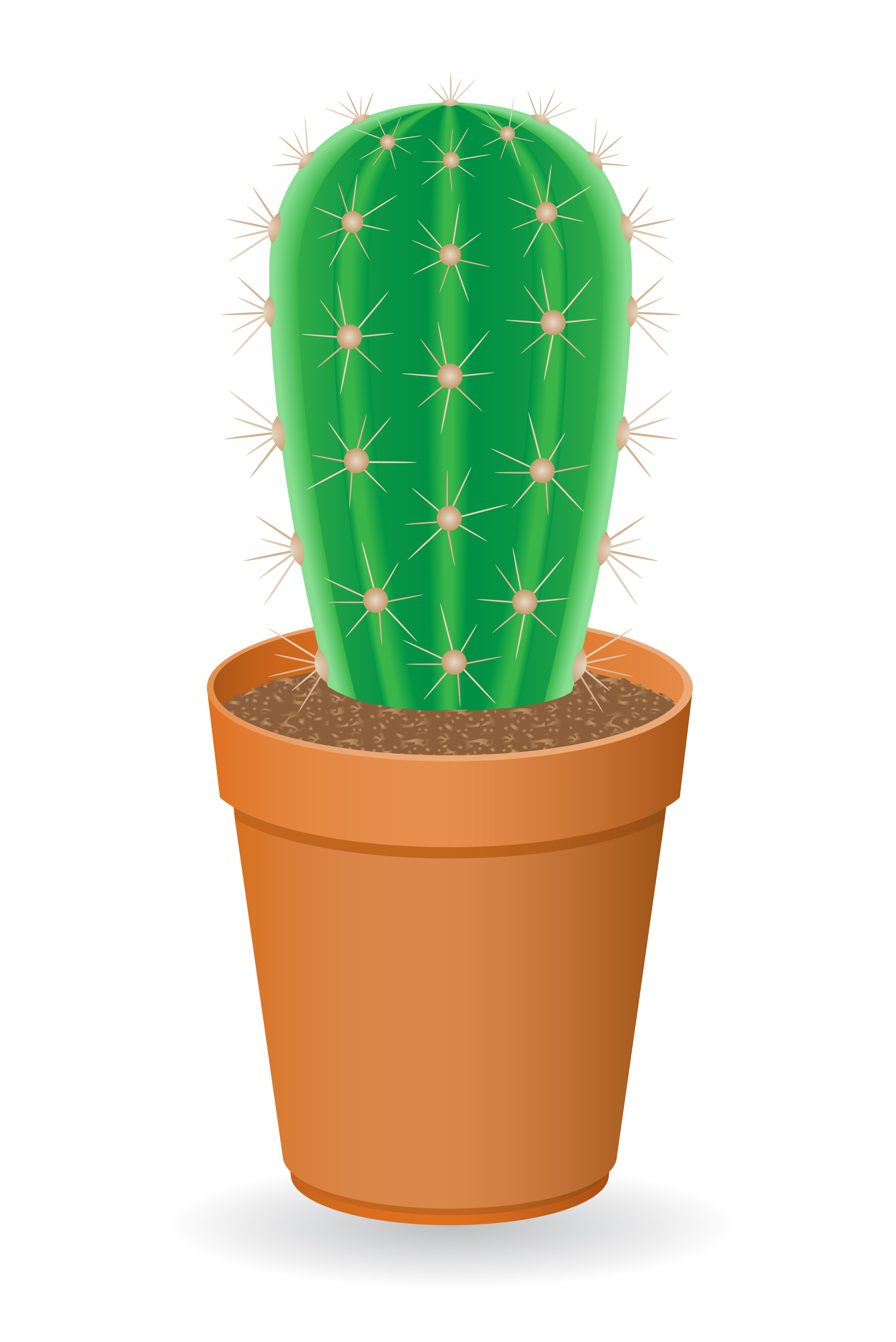 illustration vectorielle de cactus - Telecharger Vectoriel Gratuit