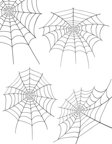 spider web stock vector illustration