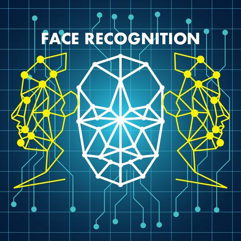 human face recognition scanning system vector