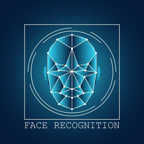 human face recognition scanning system vector