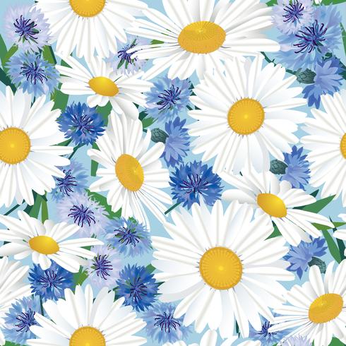 summer flower background