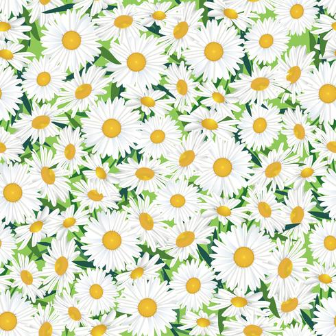 Abstract floral seamless pattern. Summer Flower background. vector