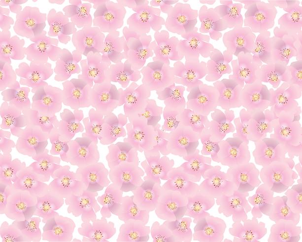 Abstract floral seamless pattern. Summer Flower background. vector