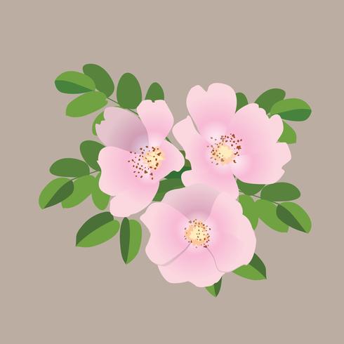 Free Free 321 Svg National Flower SVG PNG EPS DXF File