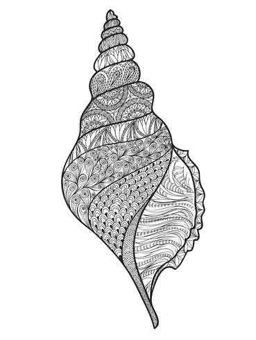 Seashell over white background. Line art marine life nautilus vector