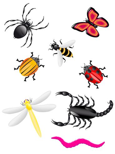 beetles and insects colors vector