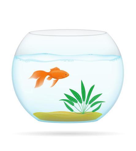 fish in a transparent aquarium vector illustration