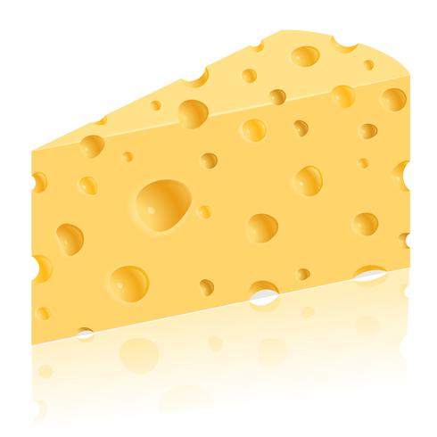 piece of cheese vector illustration