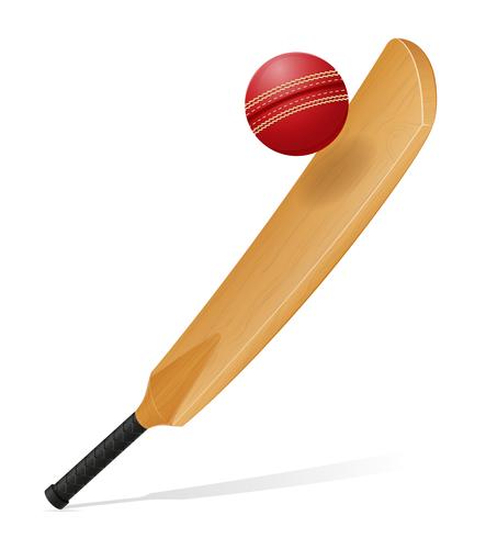 cricket bat and ball vector illustration