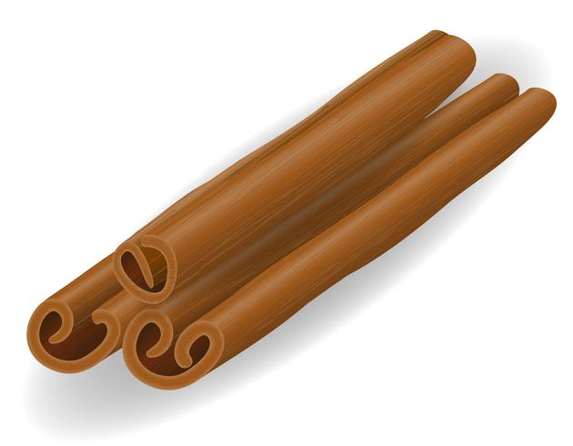 cinnamon stick vector illustration