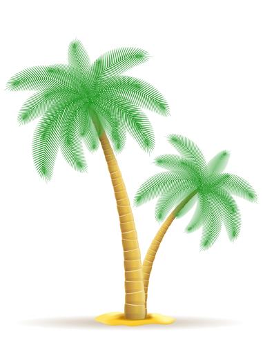 Ilustración de vector de palmera