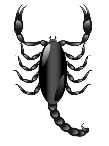 scorpion vector