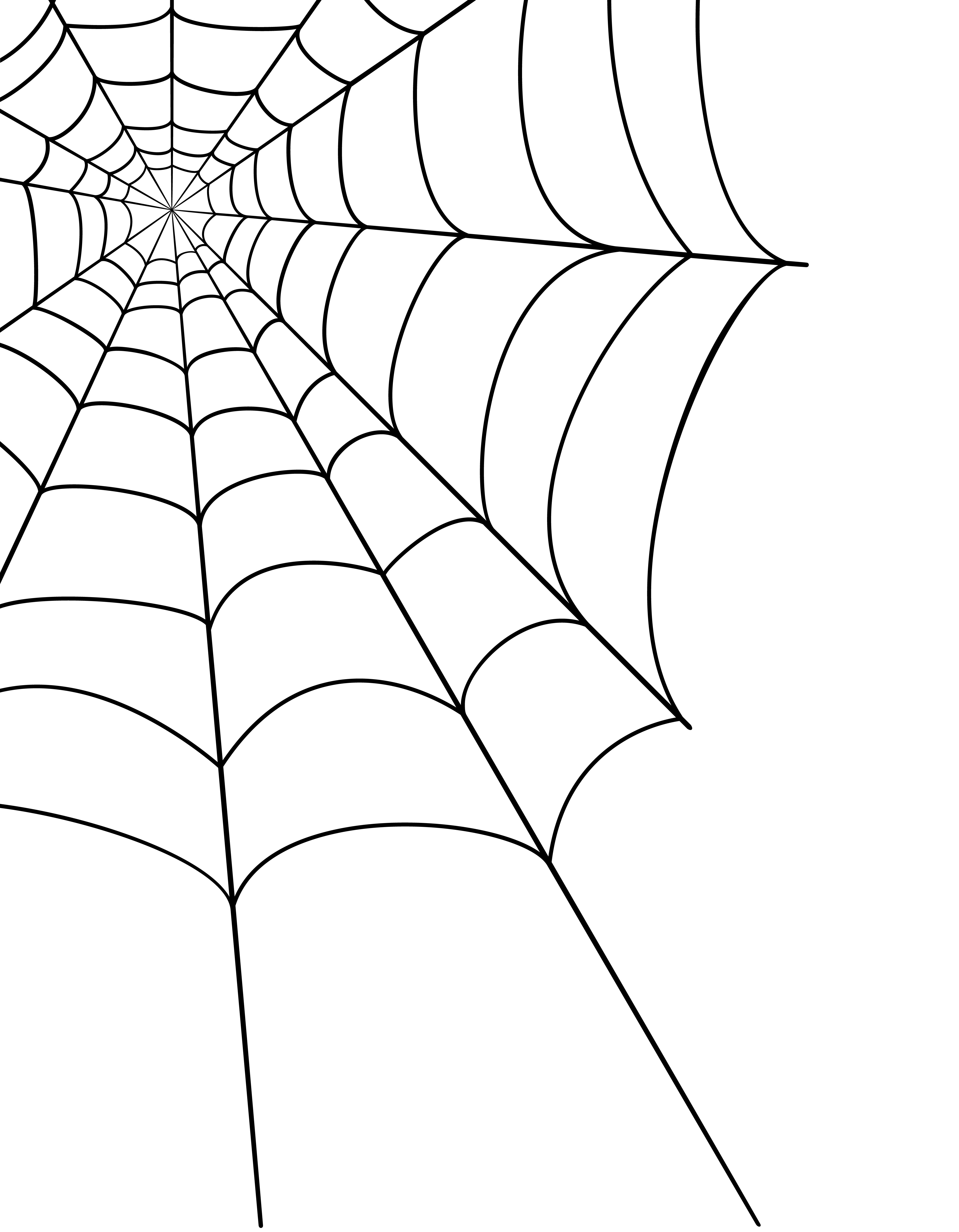 Download spider web stock vector illustration 515702 - Download Free Vectors, Clipart Graphics & Vector Art