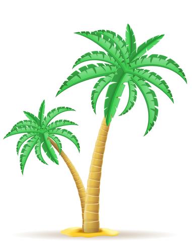 Ilustración de vector de palmera