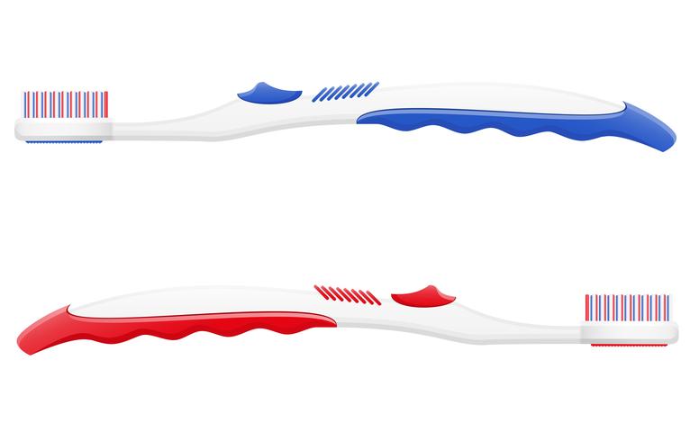 toothbrush vector illustration