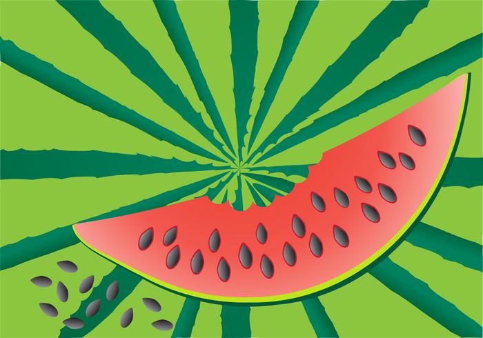 watermelon vector