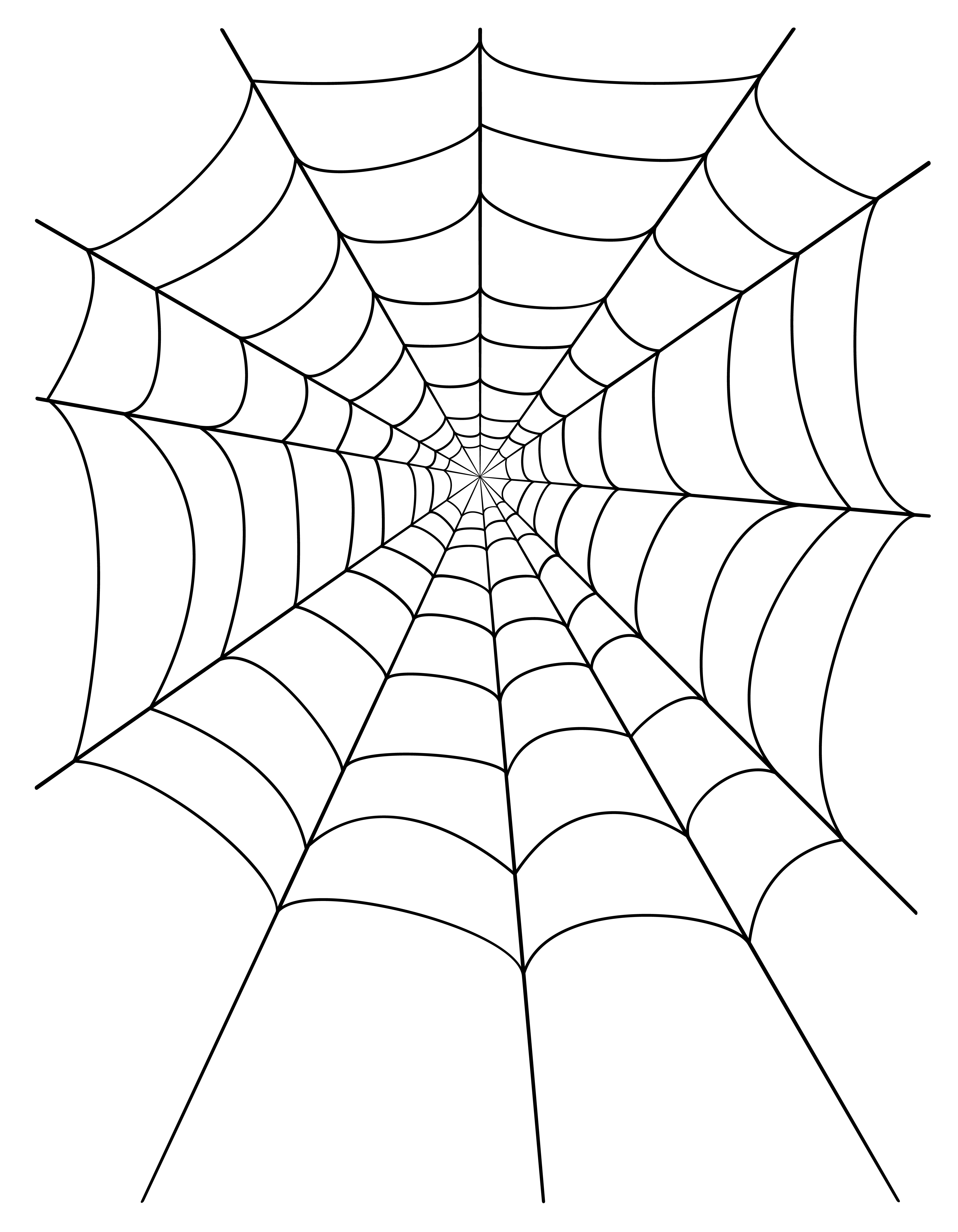 spider web stock vector illustration 516717 Vector Art at Vecteezy