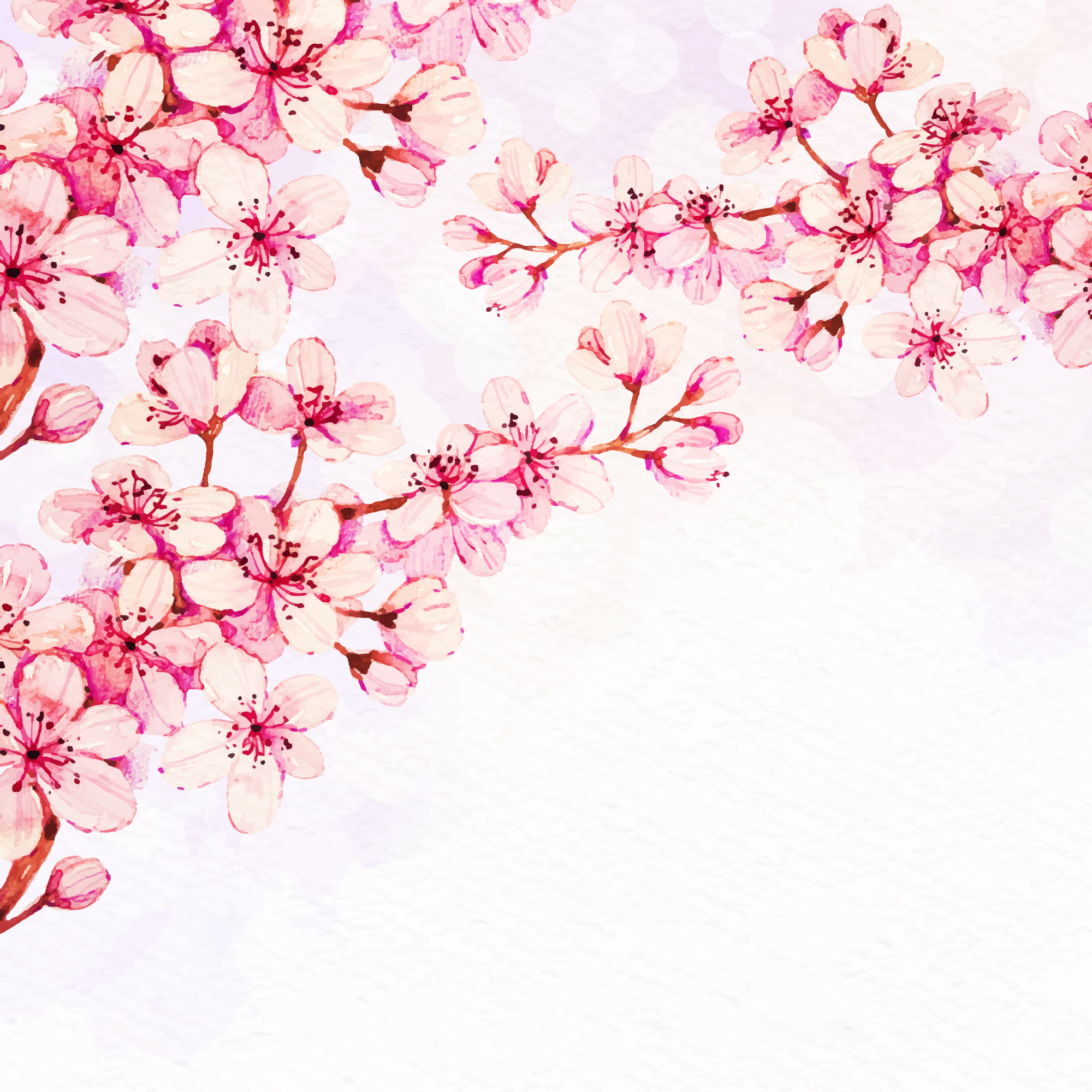 Cherry Blossom 517672 Vector Art At Vecteezy