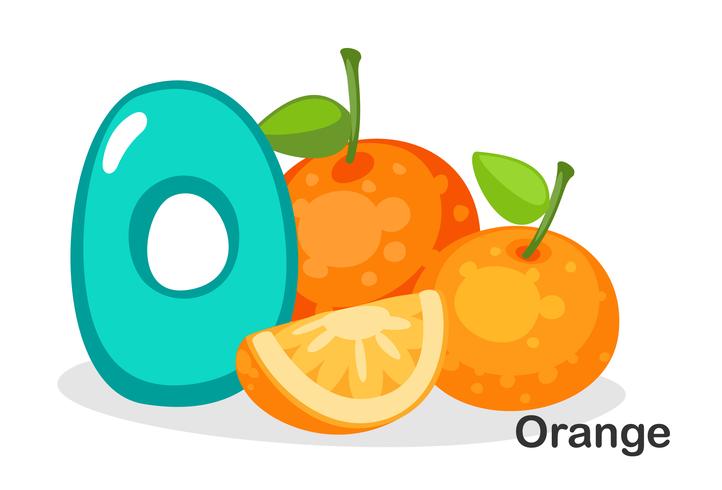 O para naranja vector