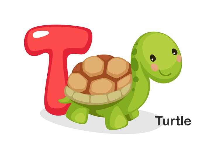 T para tortuga vector