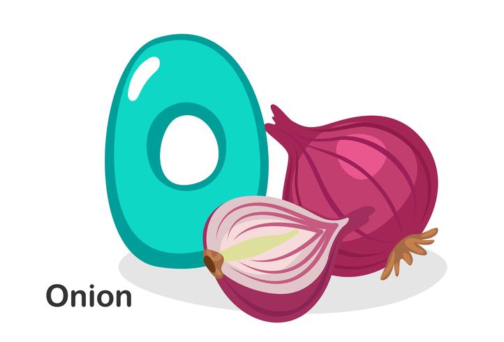 O for onion vector