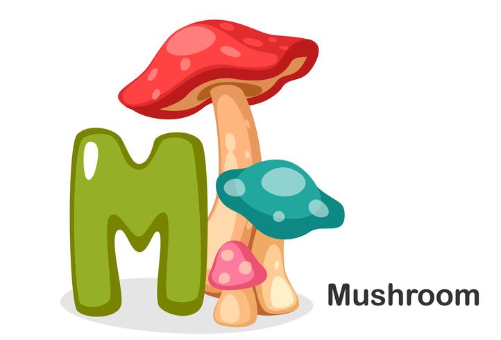 M for mushroom vector