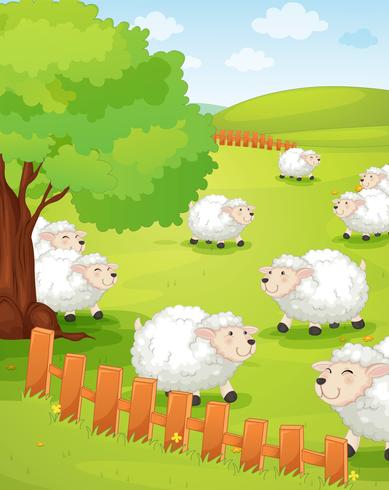 Lamb on green grass vector